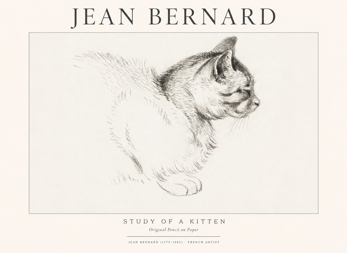 Jean Bernard Study of a Kitten II No1 - Juliste