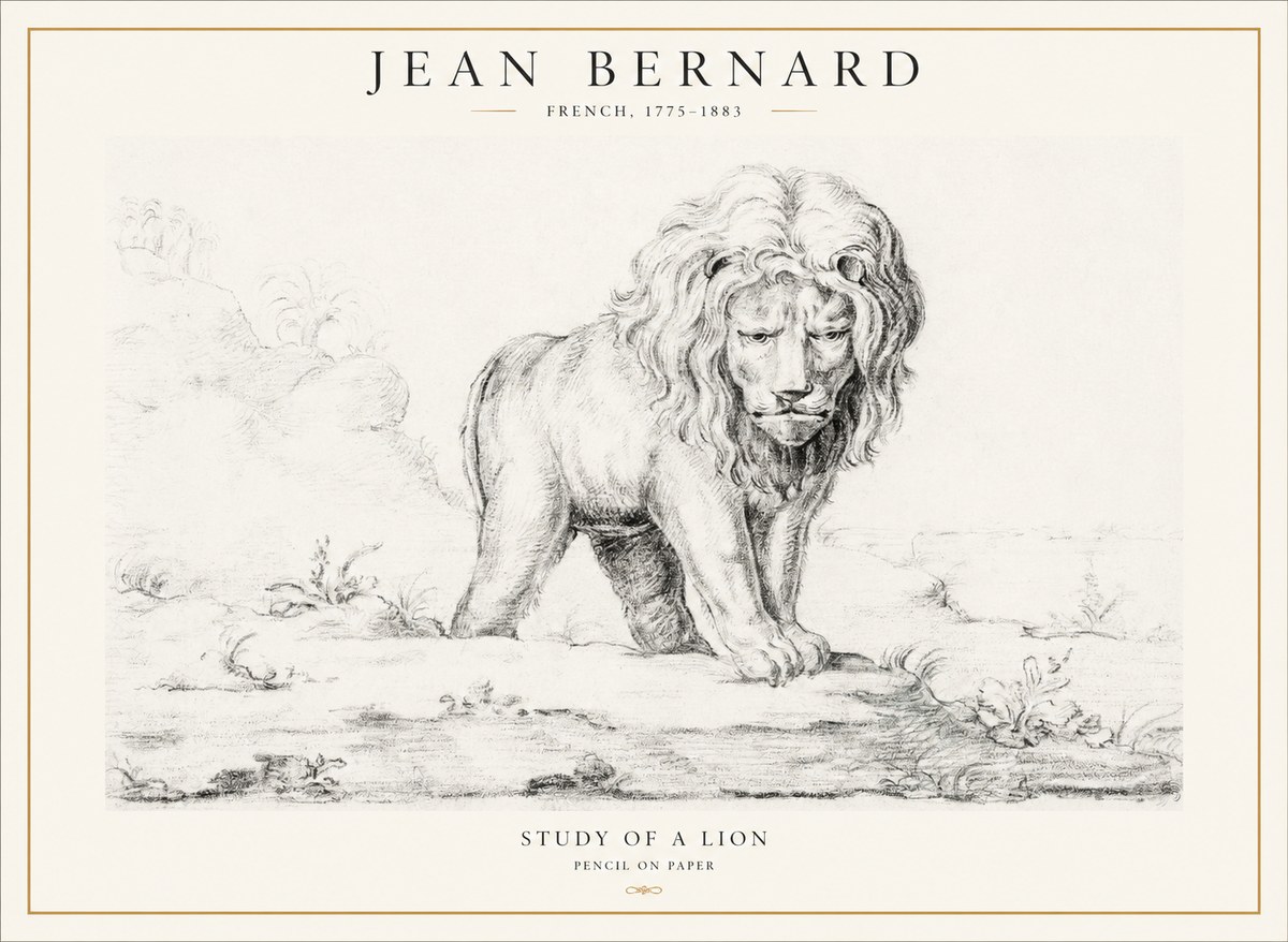 Jean Bernard Study of a Lion I No4 - Juliste