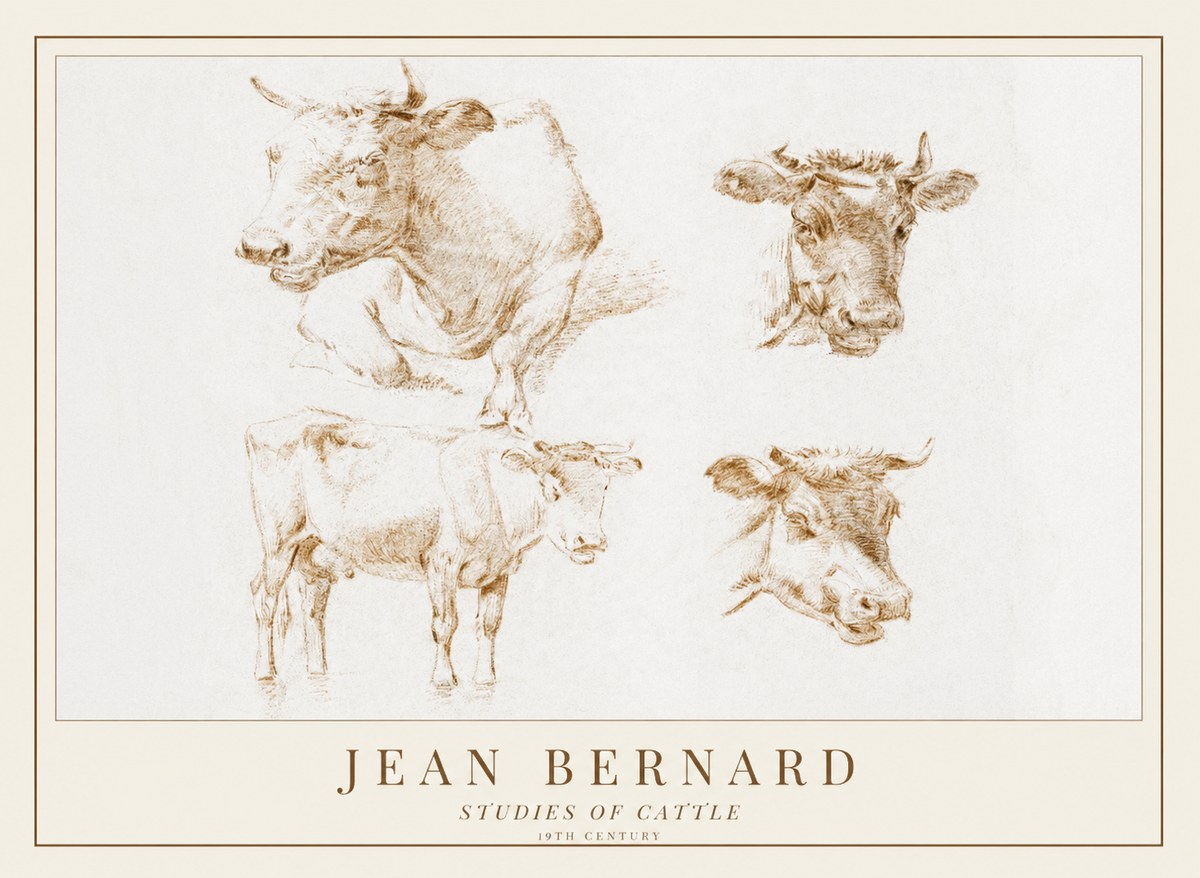 Jean Bernard Studies of Cattle II No1 - Juliste