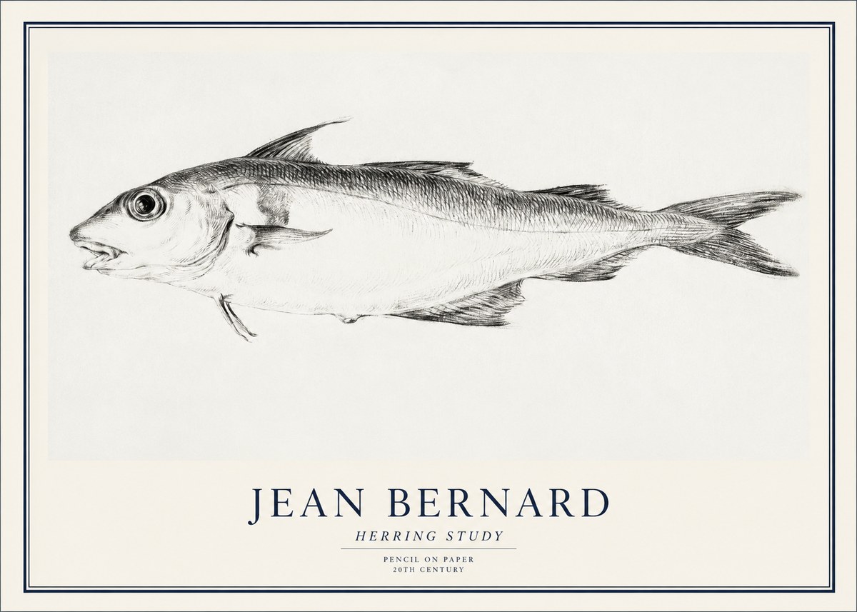 Jean Bernard Herring Study No1 - Juliste