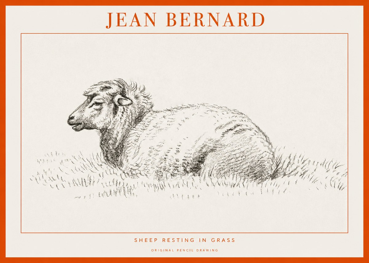 Jean Bernard Sheep Resting in Grass No1 - Juliste