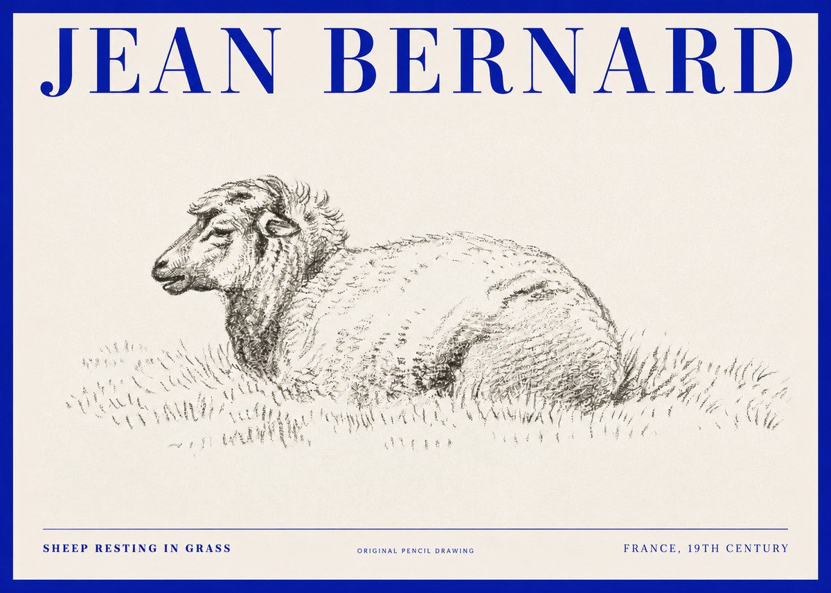 Jean Bernard Sheep Resting in Grass No2 - Juliste