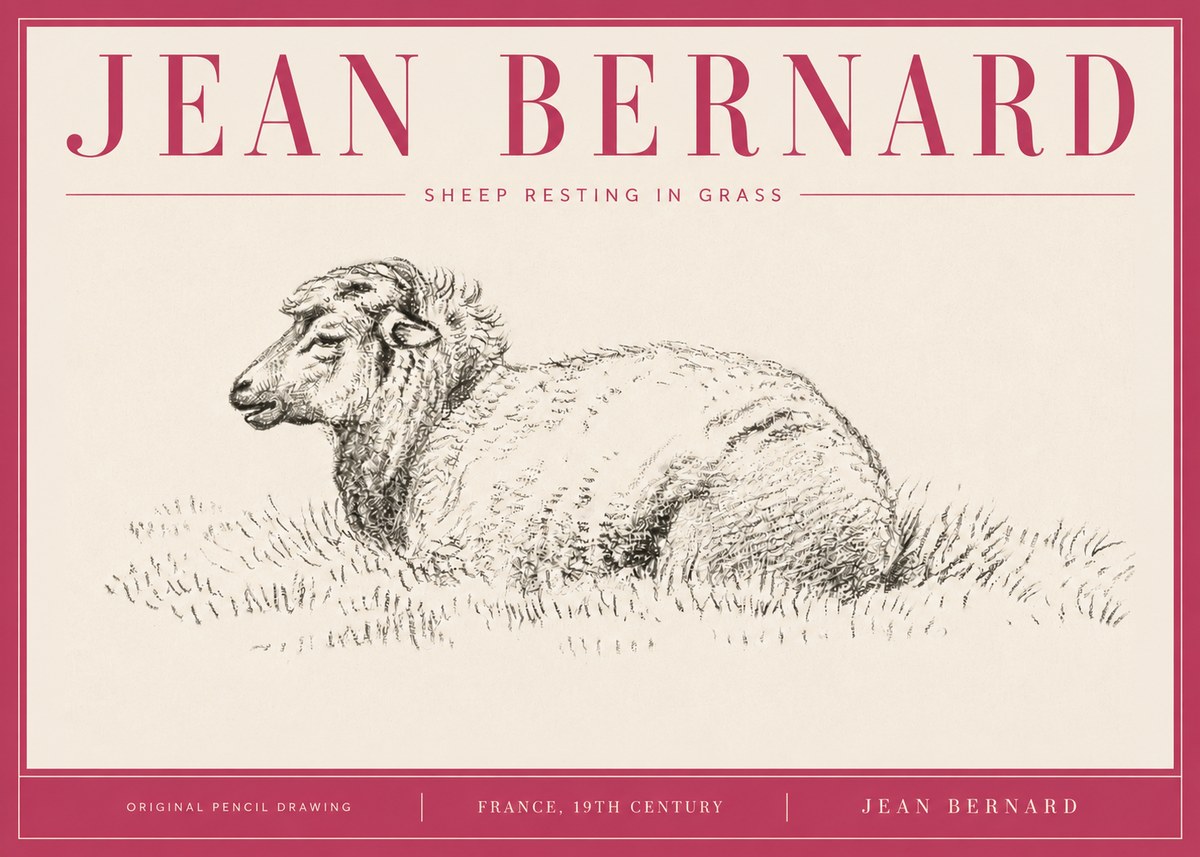 Jean Bernard Sheep Resting in Grass No4 - Juliste