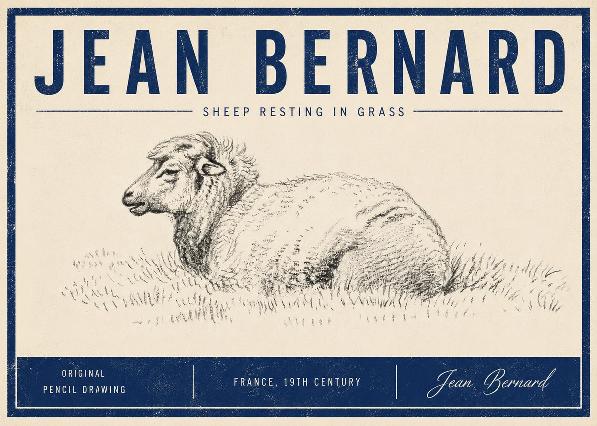 Jean Bernard Sheep Resting in Grass No5 - Juliste