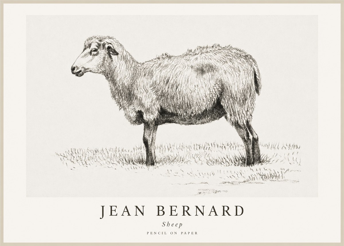 Jean Bernard Sheep No1 - Juliste