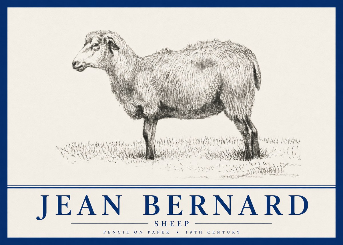 Jean Bernard Sheep No4 - Juliste