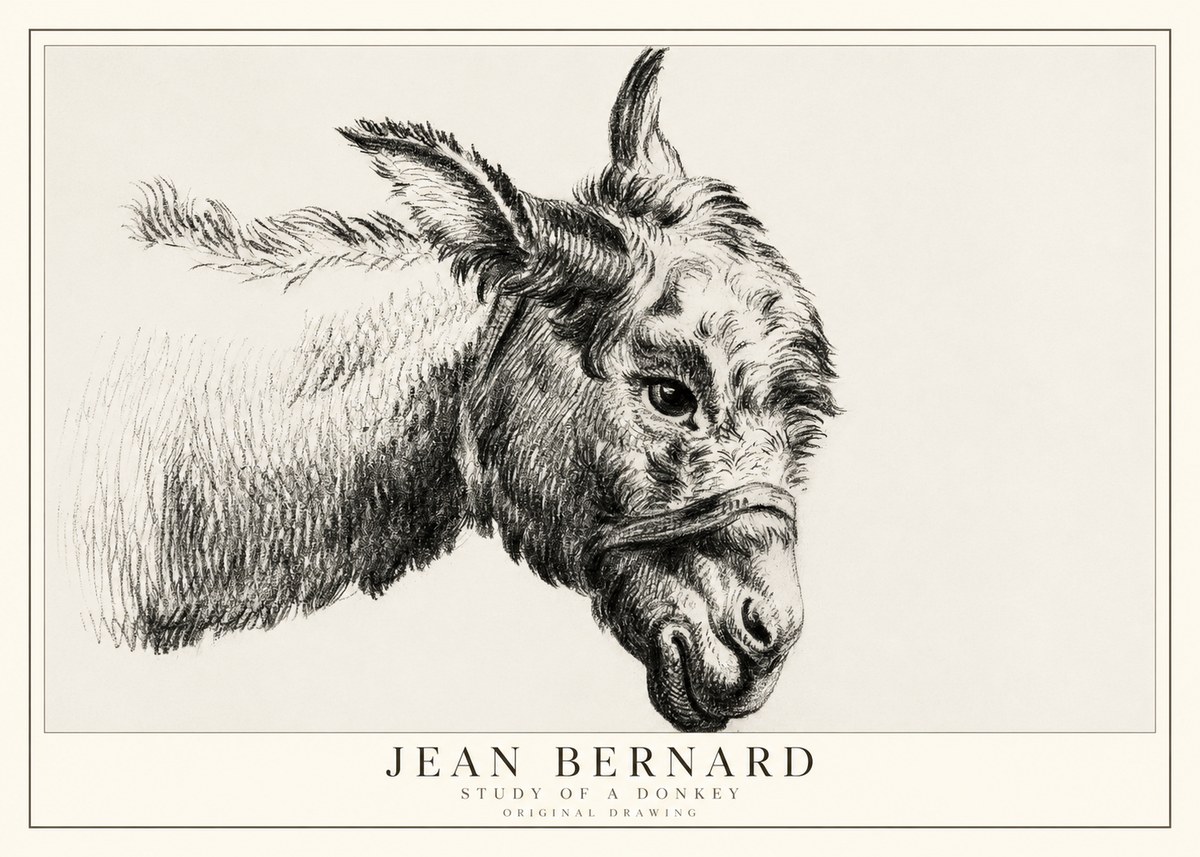 Jean Bernard Study of a Donkey I No1 - Juliste
