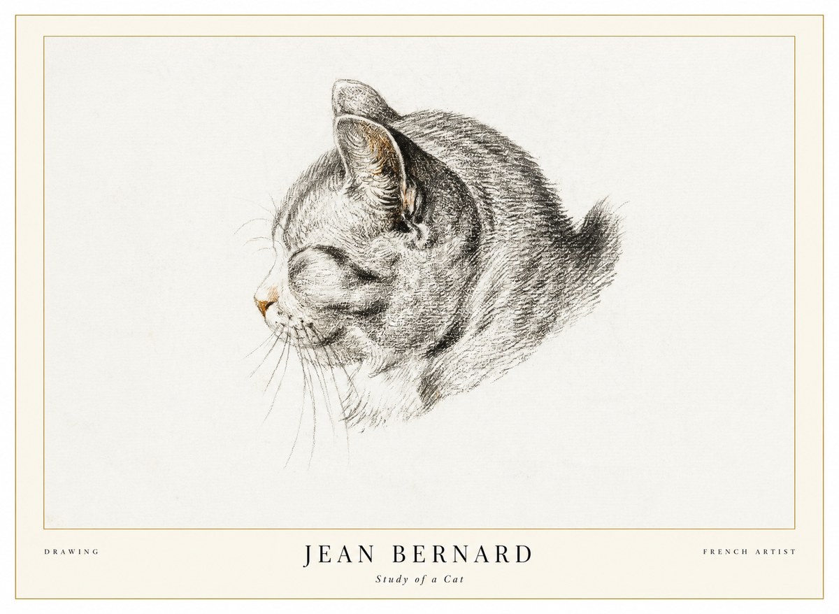 Jean Bernard Study of a Cat I No1 - Juliste