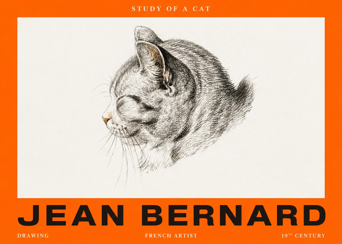 Jean Bernard Study of a Cat I No2 - Juliste