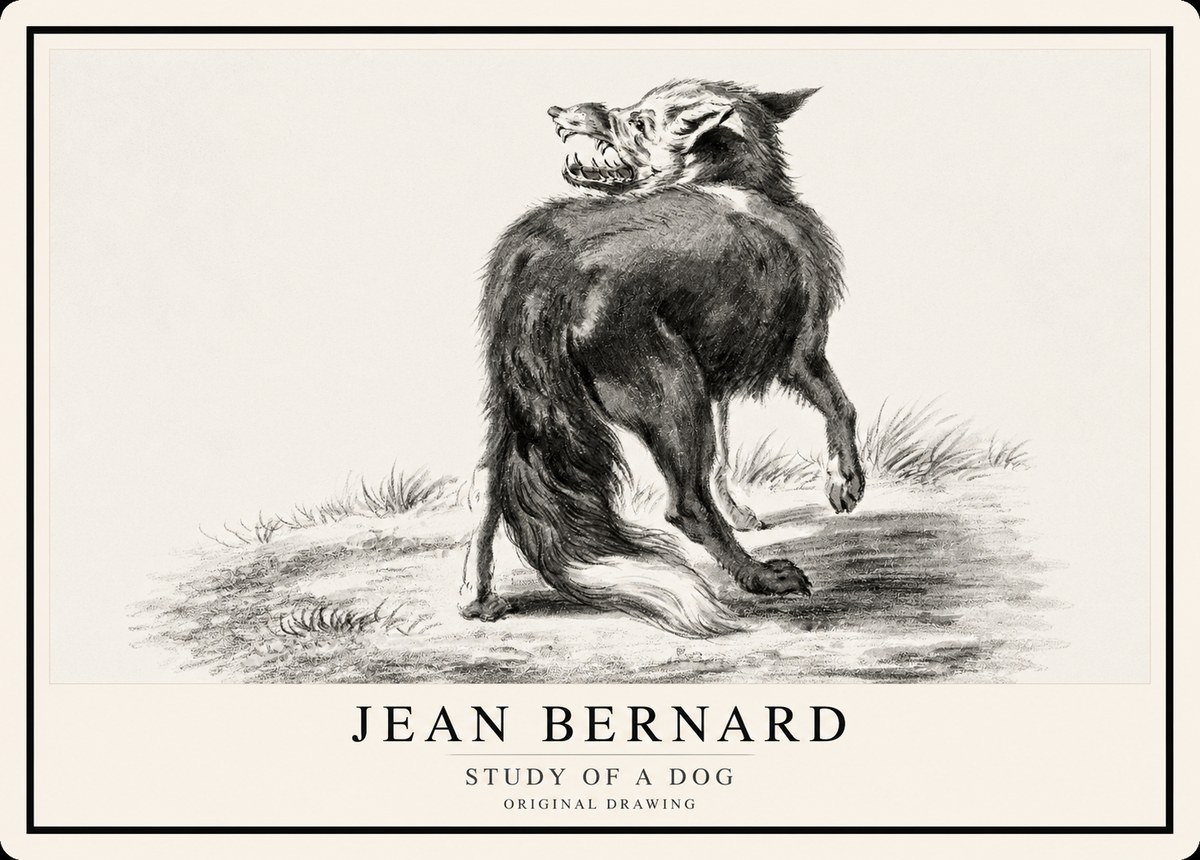Jean Bernard Study of a Dog II No1 - Juliste