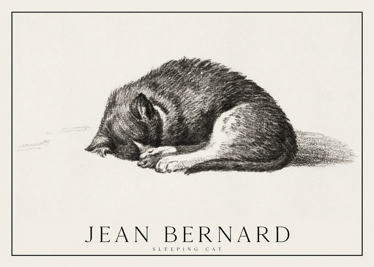 Jean Bernard Sleeping Cat III No1 - Juliste