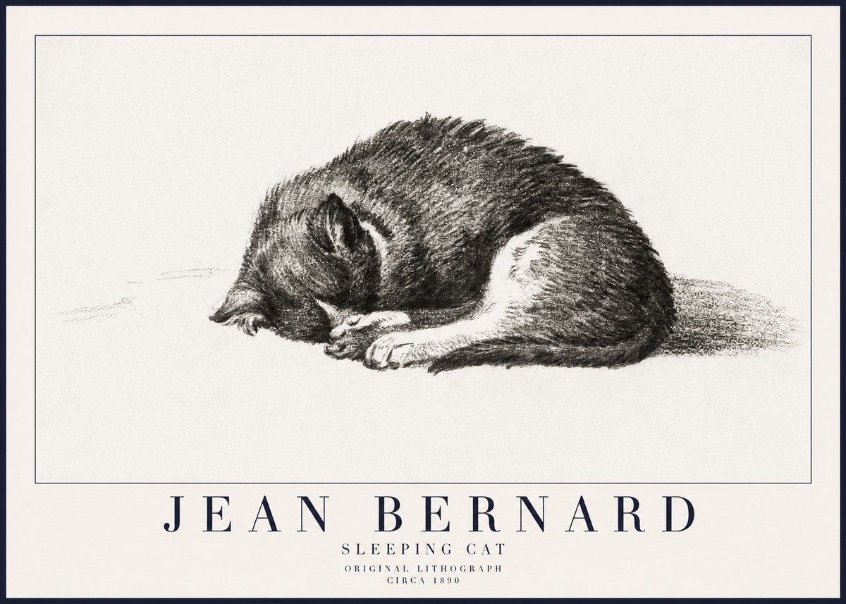 Jean Bernard Sleeping Cat III No6 - Juliste