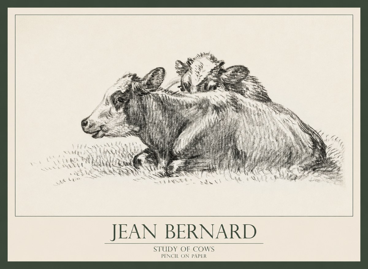 Jean Bernard Study of Cows No1 - Juliste