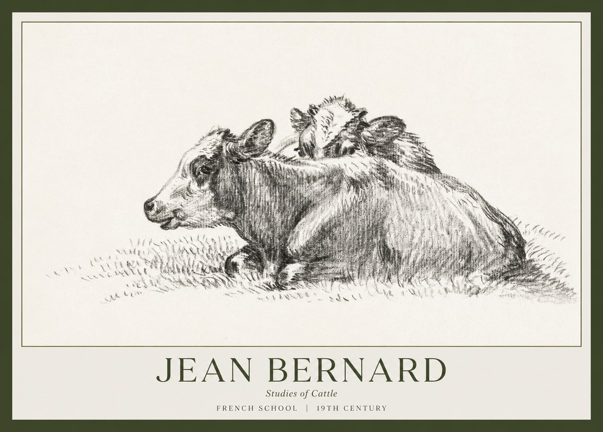 Jean Bernard Study of Cows No2 - Juliste