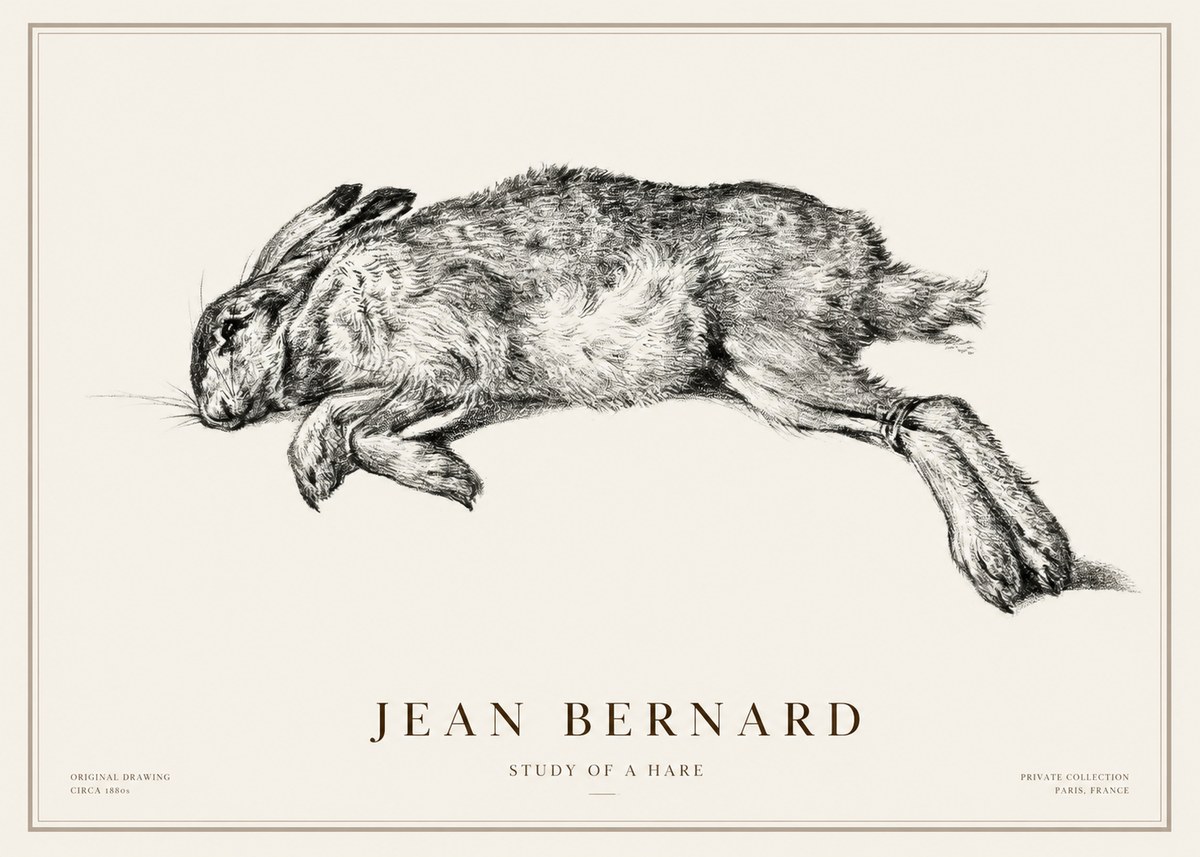 Jean Bernard Study of a Rabbit No3 - Juliste