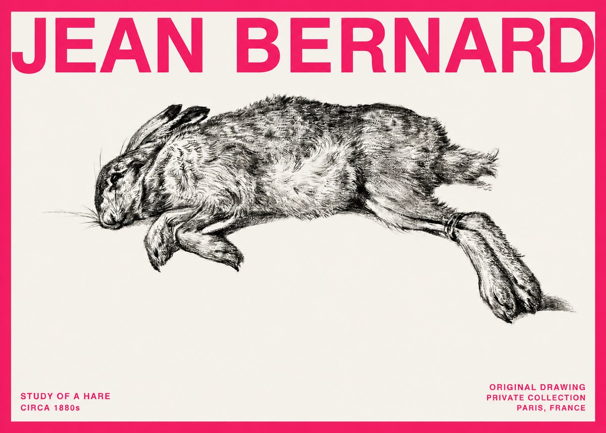 Jean Bernard Study of a Rabbit No4 - Juliste