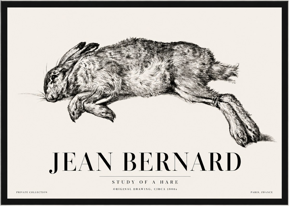 Jean Bernard Study of a Rabbit No5 - Juliste