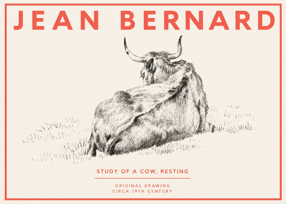 Jean Bernard Resting Bovine - Study in Graphite No4 - Juliste