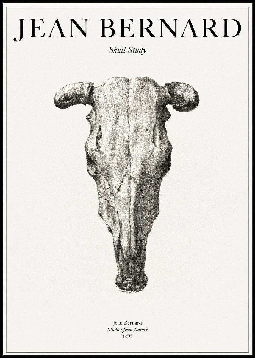 Jean Bernard Skull Study No1 - Juliste