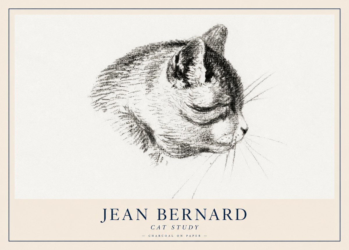Jean Bernard Cat Study IV No2 - Juliste