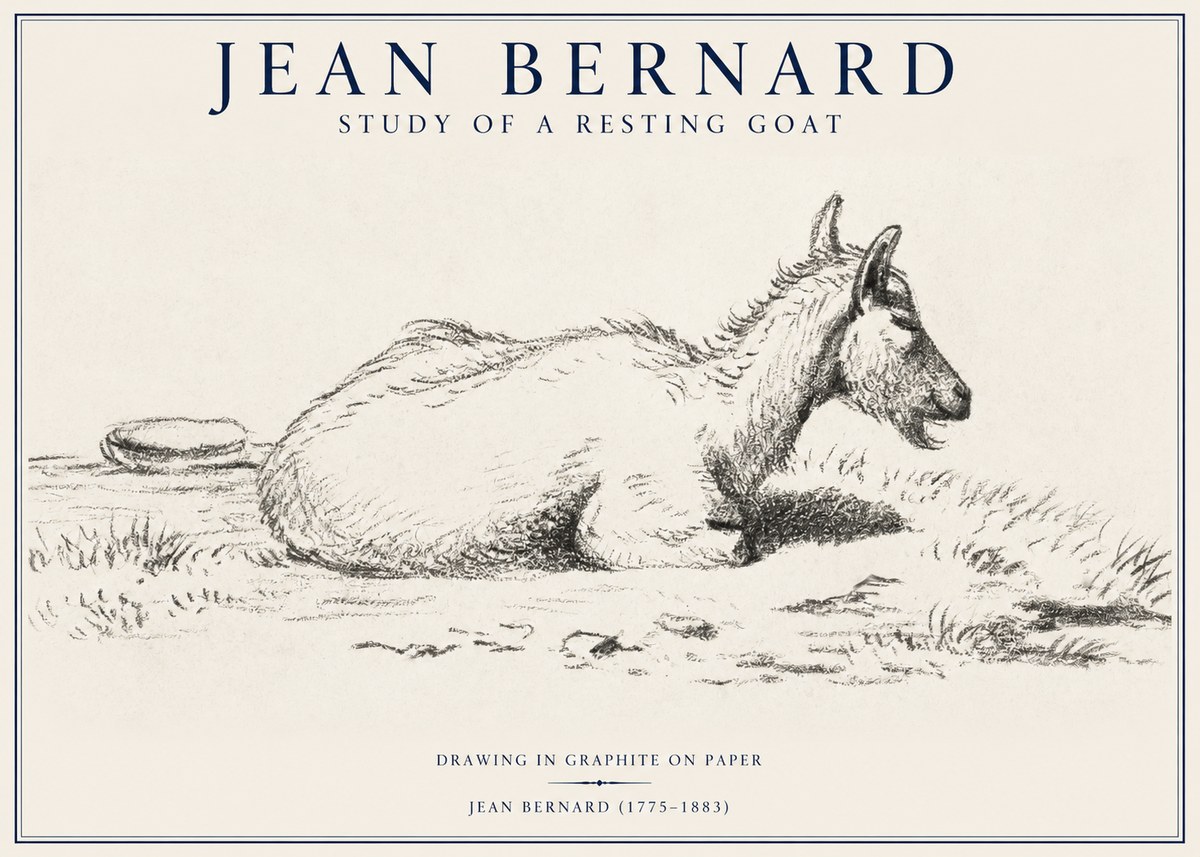 Jean Bernard Study of a Resting Goat No1 - Juliste