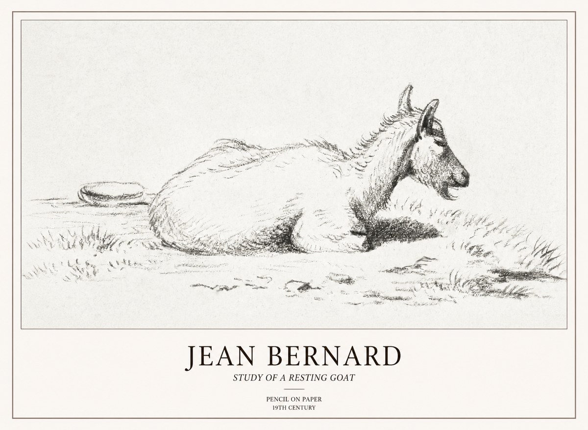 Jean Bernard Study of a Resting Goat No2 - Juliste