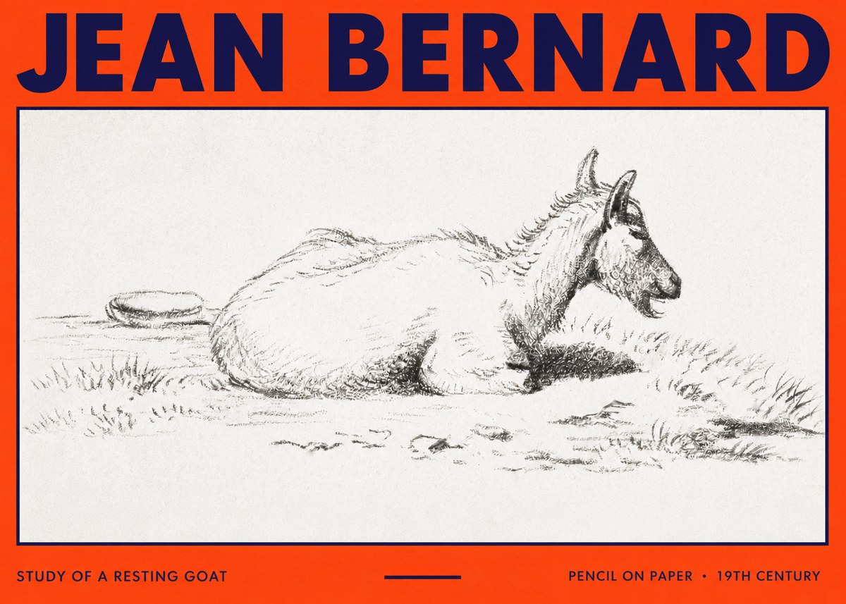 Jean Bernard Study of a Resting Goat No3 - Juliste