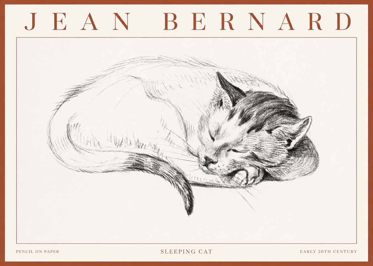 Jean Bernard Sleeping Cat IV No3 - Juliste