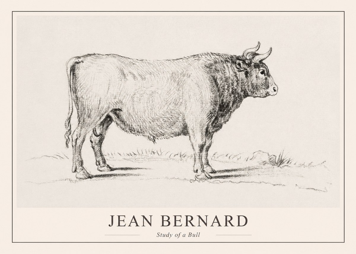 Jean Bernard Study of a Bull I No1 - Juliste