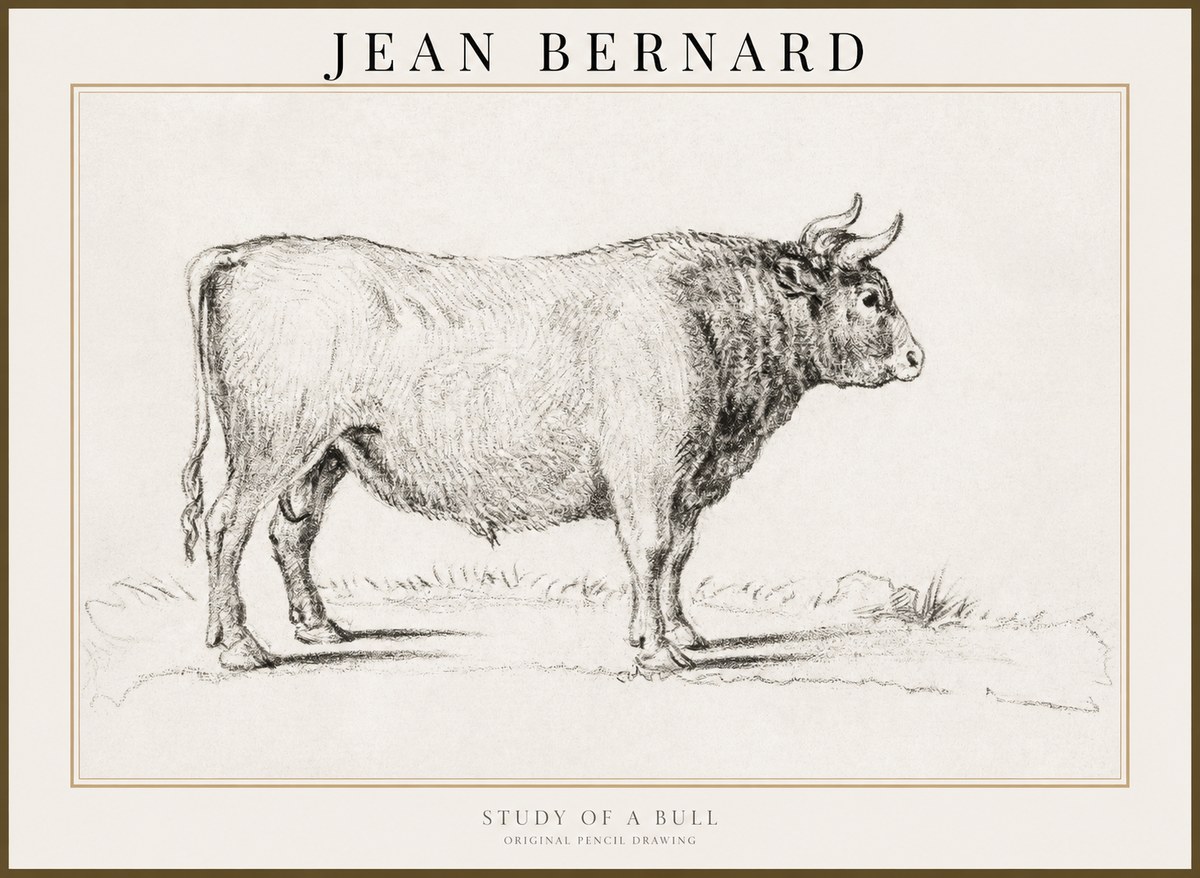 Jean Bernard Study of a Bull I No3 - Juliste