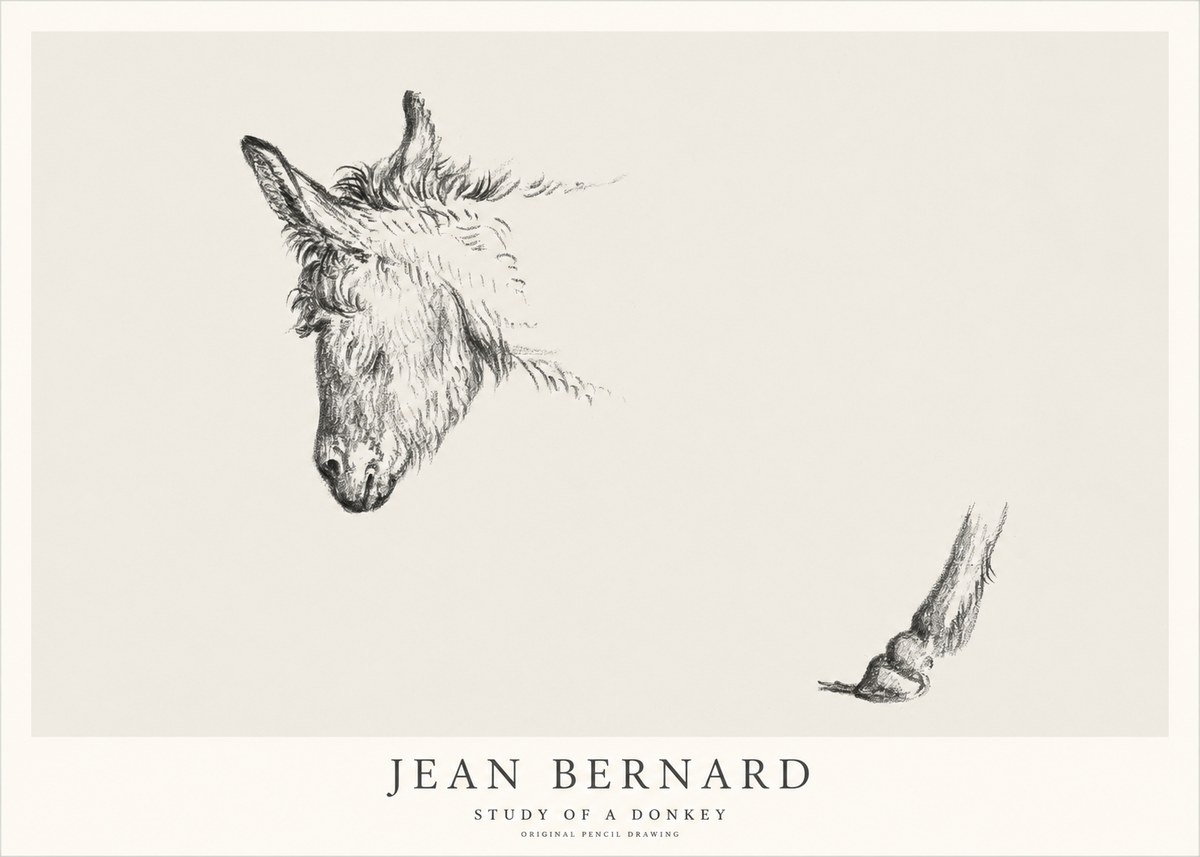 Jean Bernard Study of a Donkey II No1 - Juliste