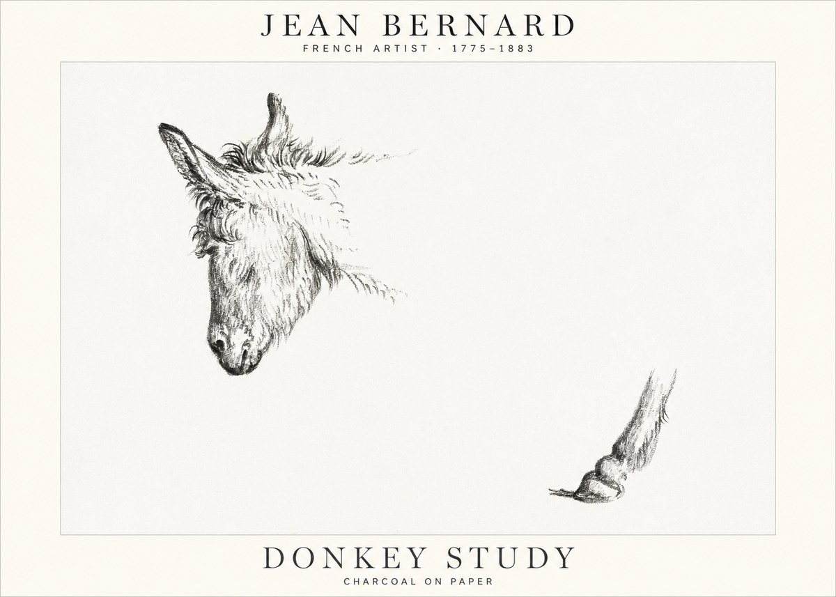Jean Bernard Study of a Donkey II No2 - Juliste