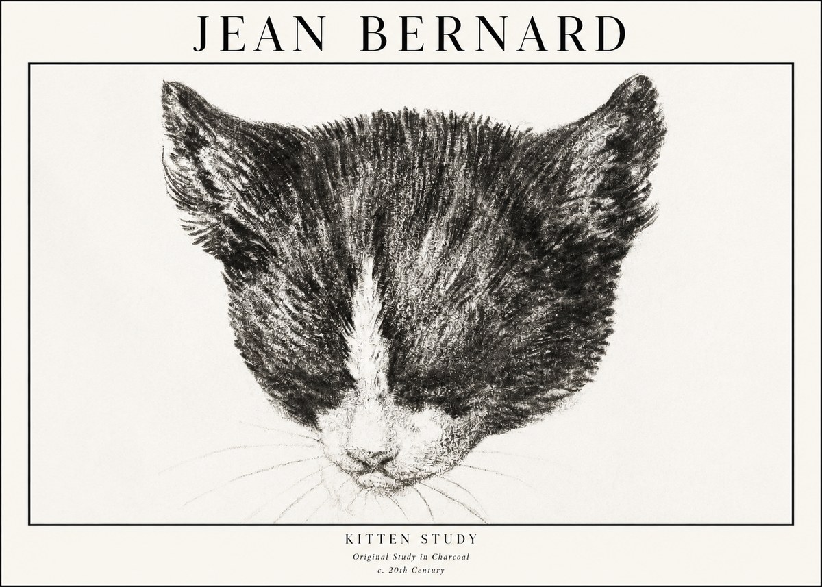 Jean Bernard Cat Study V No4 - Juliste