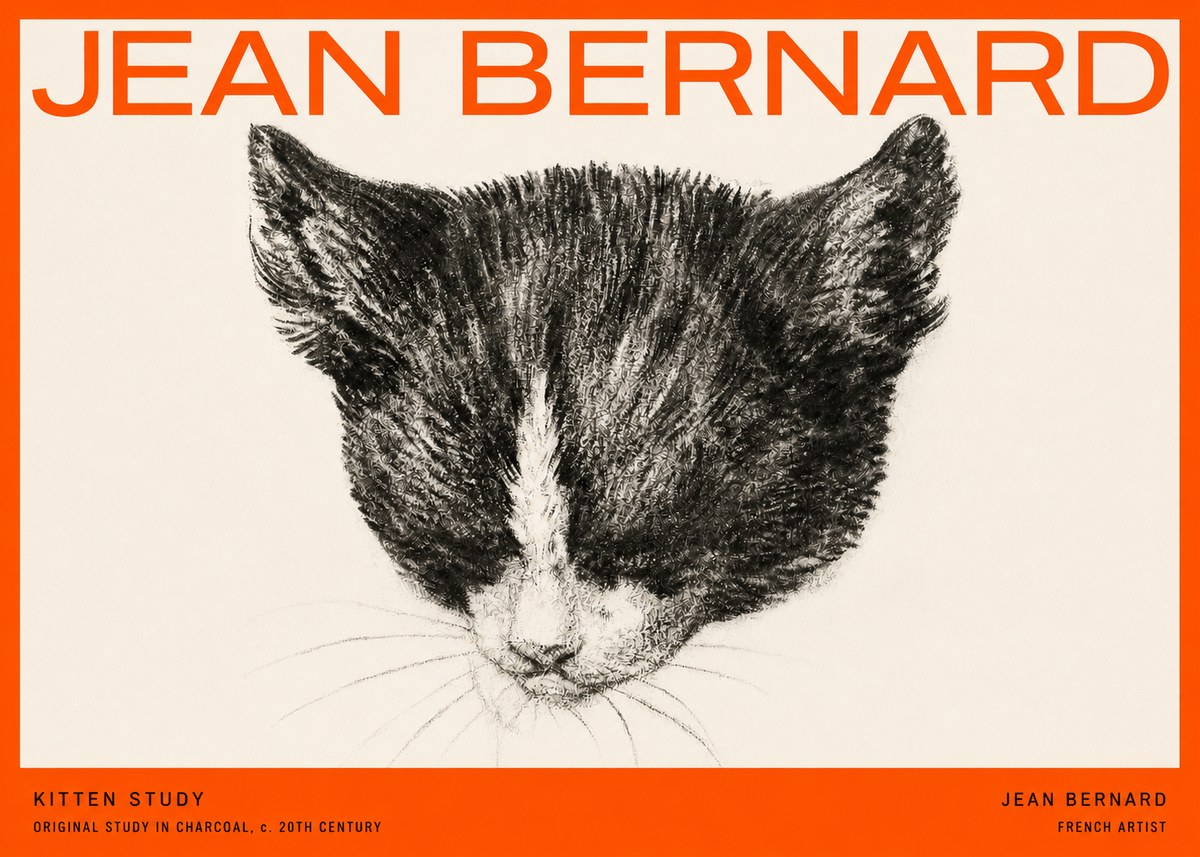 Jean Bernard Cat Study V No5 - Juliste