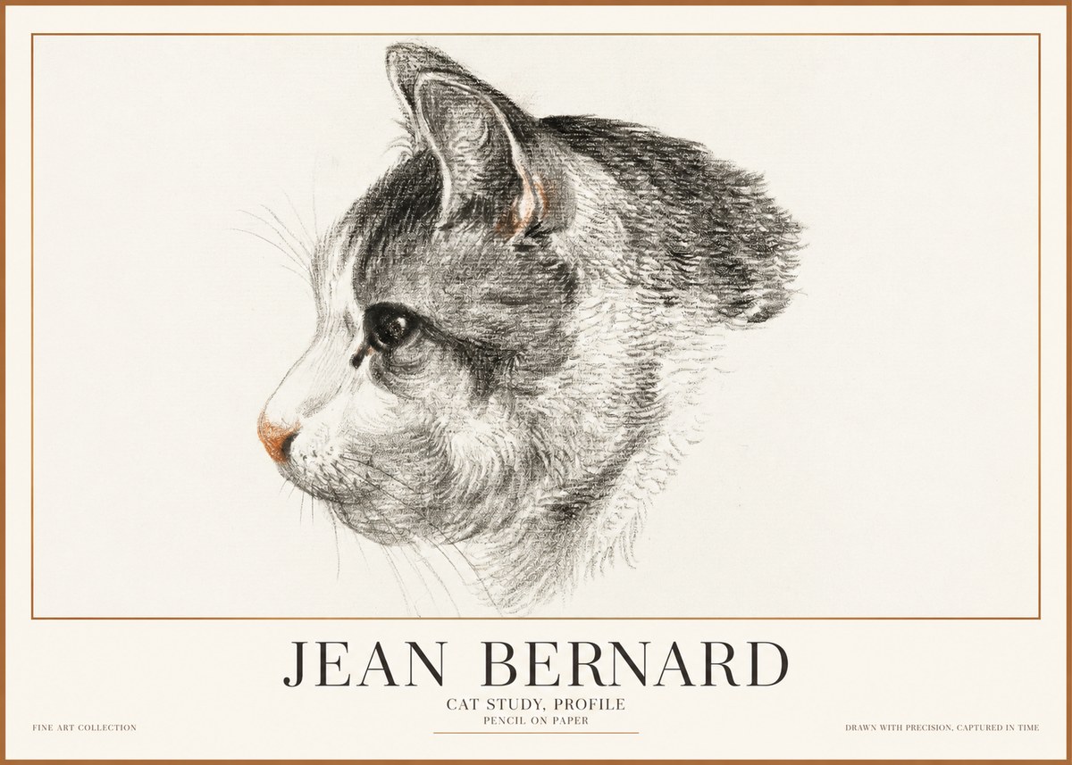 Jean Bernard Cat Study, Profile No1 - Juliste