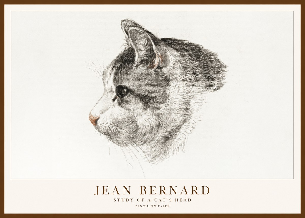 Jean Bernard Cat Study, Profile No2 - Juliste
