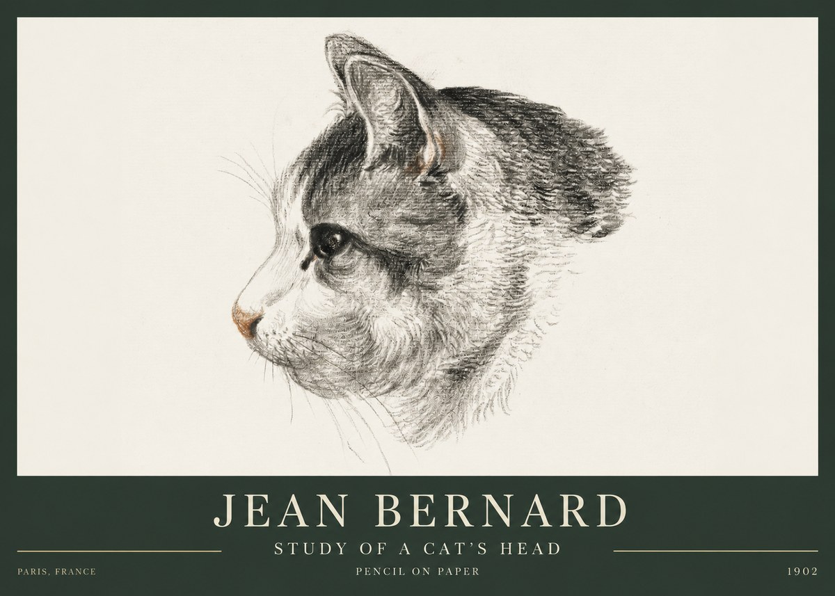 Jean Bernard Cat Study, Profile No4 - Juliste