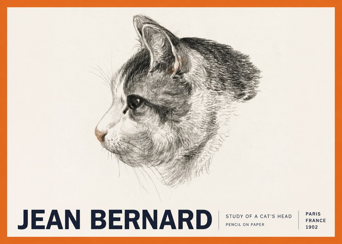 Jean Bernard Cat Study, Profile No6 - Juliste
