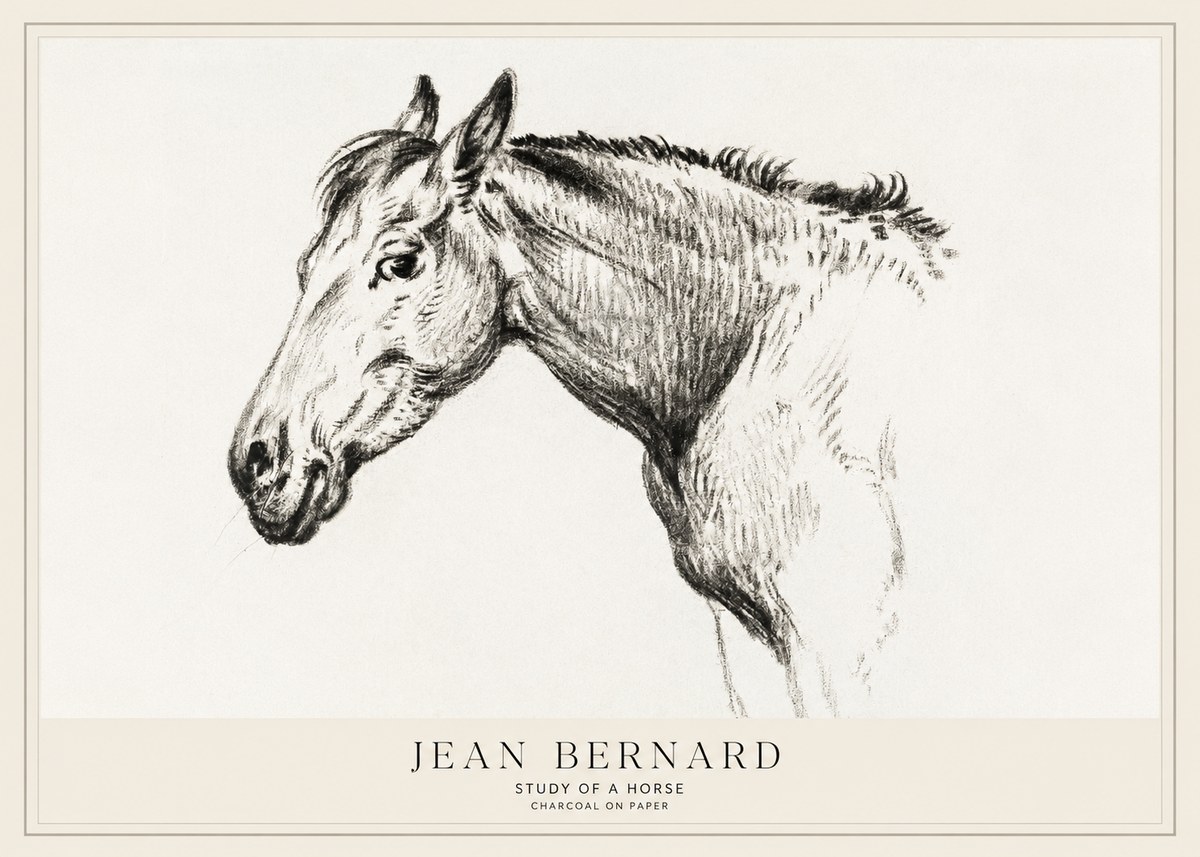 Jean Bernard Study of a Horse VI No1 - Juliste