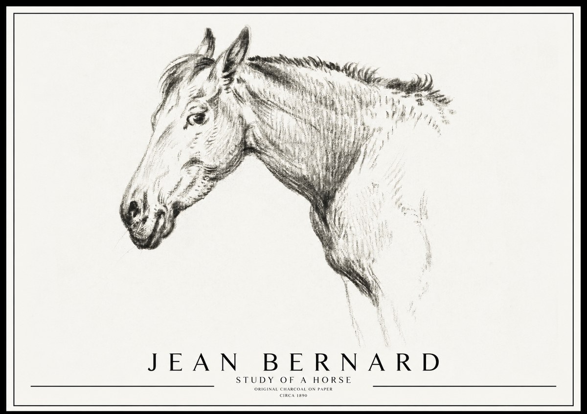 Jean Bernard Study of a Horse VI No3 - Juliste