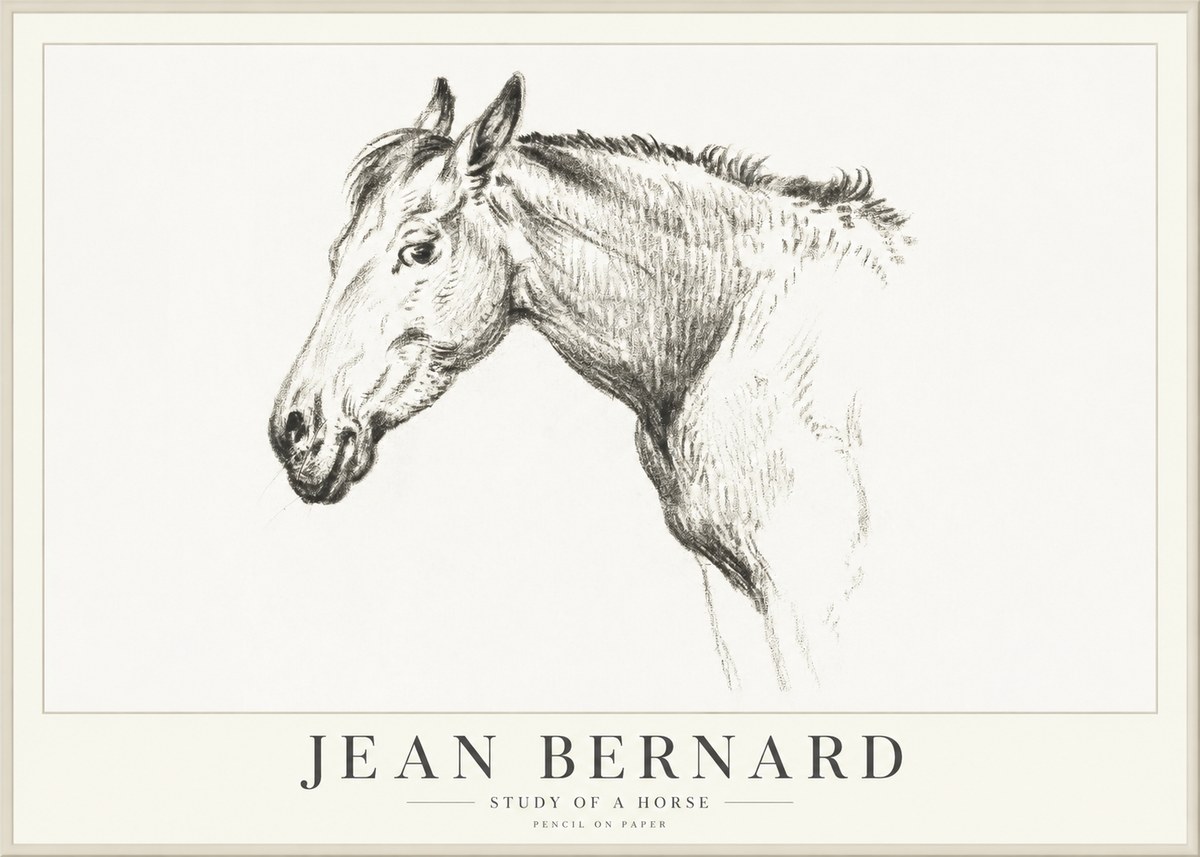 Jean Bernard Study of a Horse VI No4 - Juliste