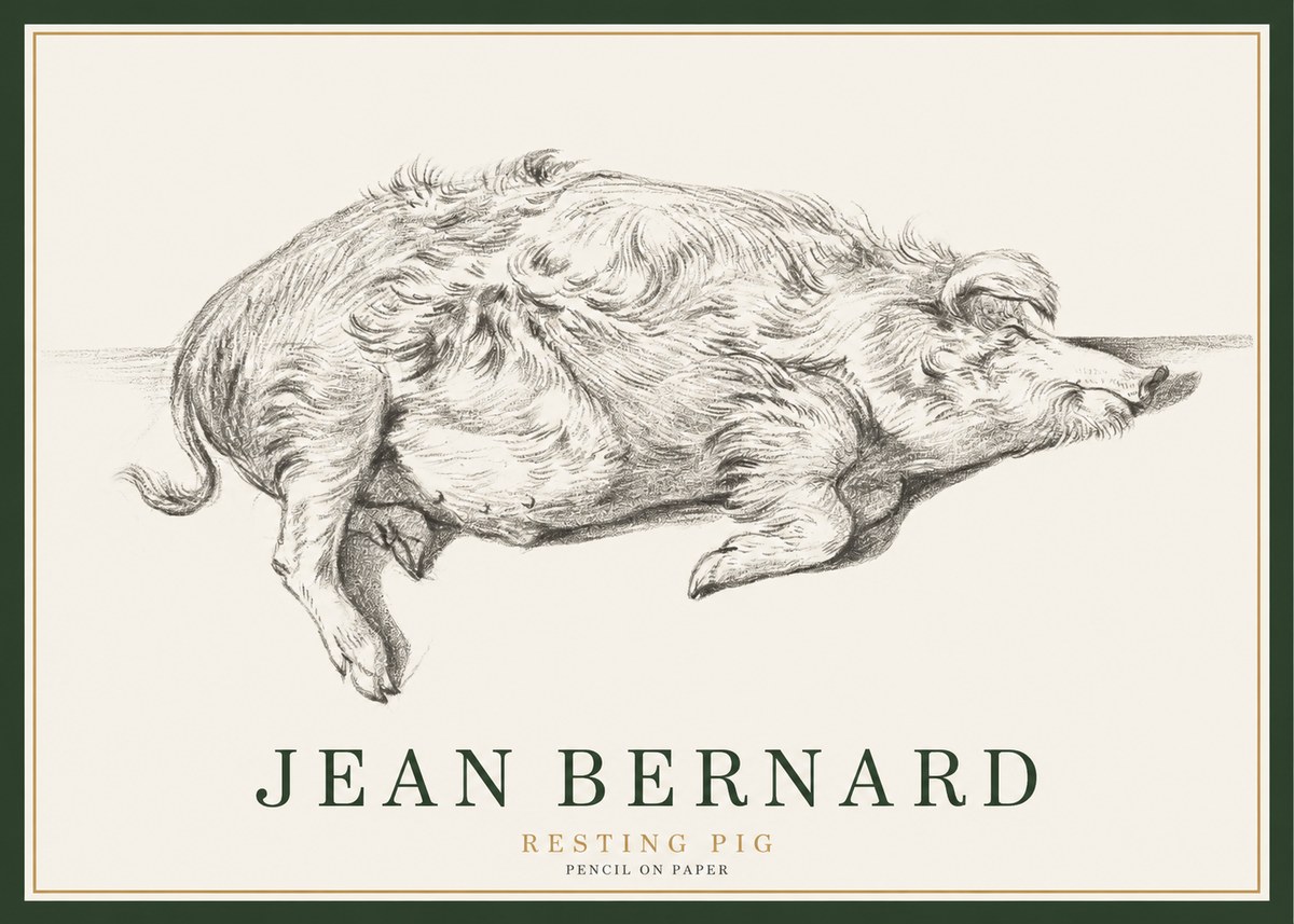 Jean Bernard Study of a Pig I No3 - Juliste