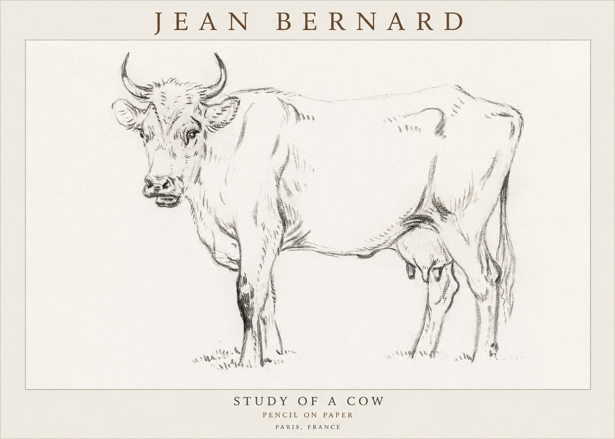 Jean Bernard Study of a Cow VI No3 - Juliste