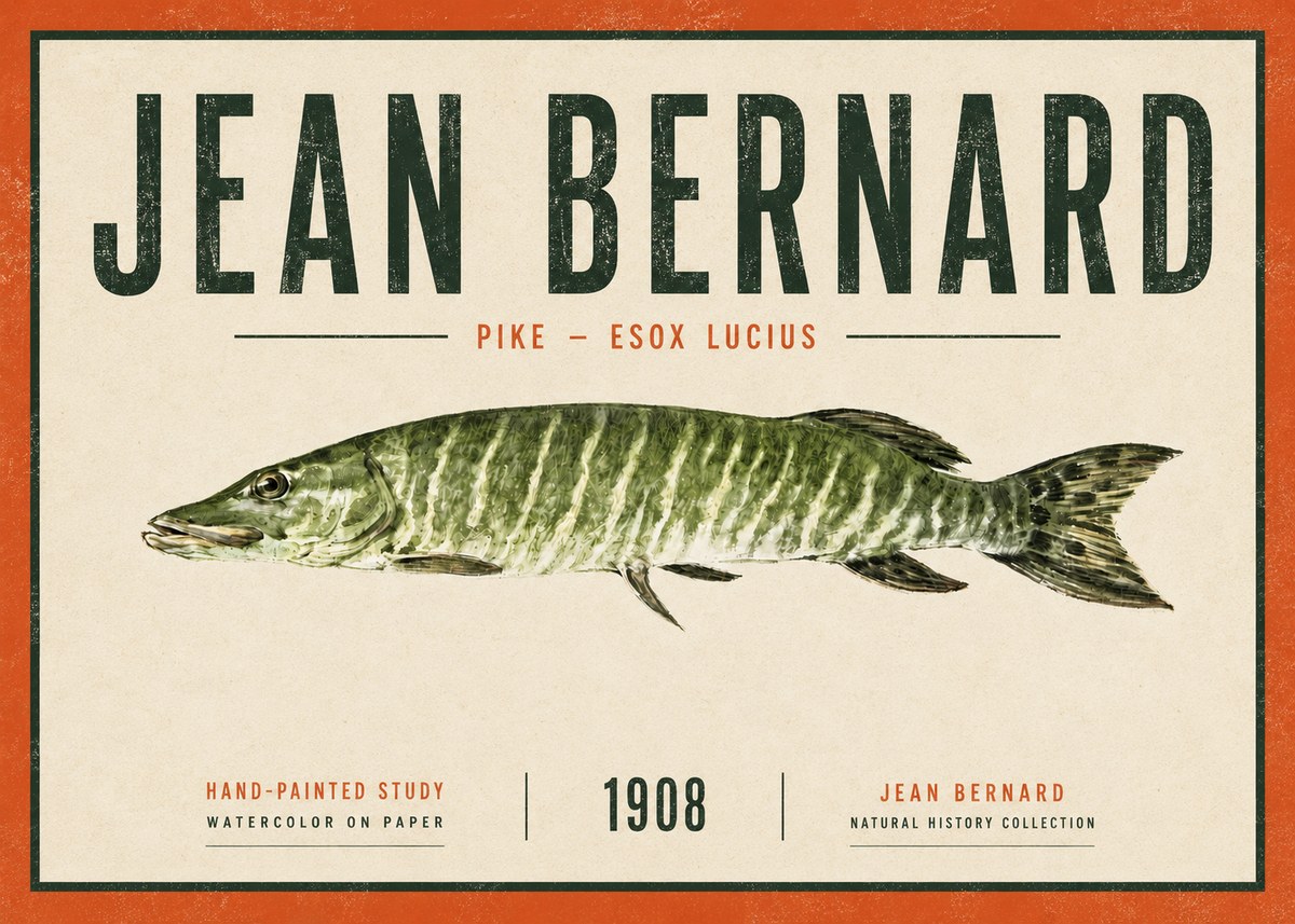 Jean Bernard Northern Pike No6 - Juliste