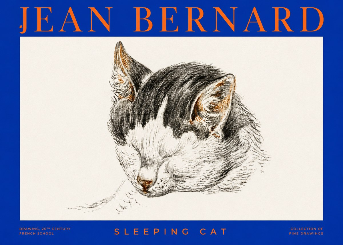 Jean Bernard Sleeping Cat V No2 - Juliste