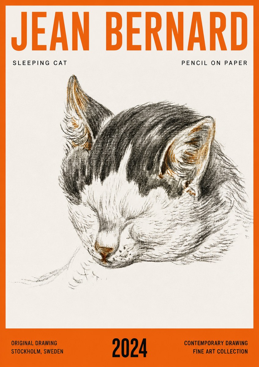 Jean Bernard Sleeping Cat V No4 - Juliste