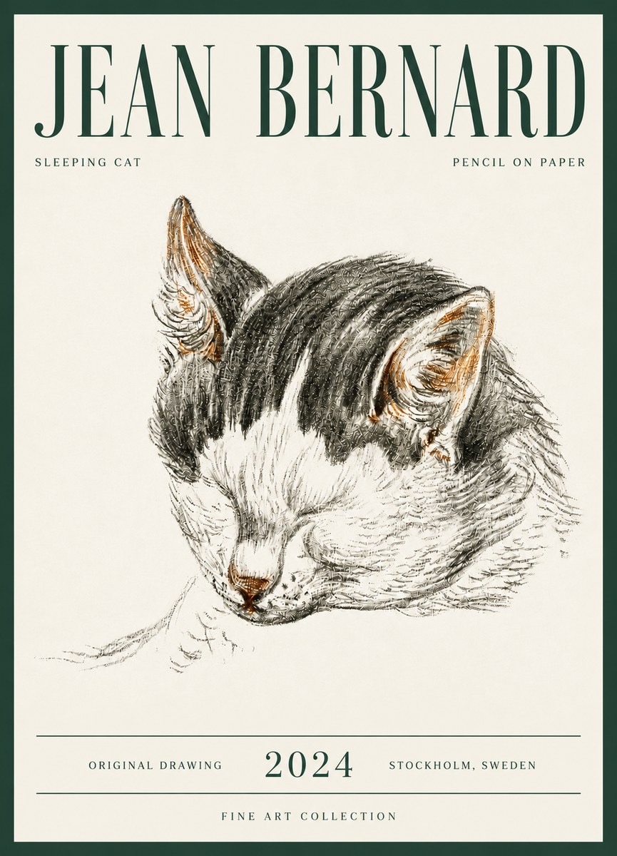 Jean Bernard Sleeping Cat V No6 - Juliste
