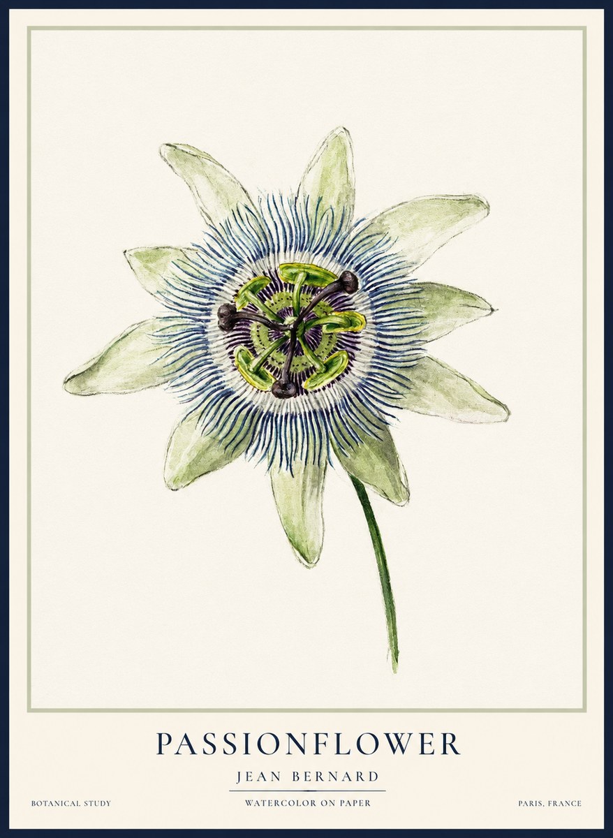 Jean Bernard Passionflower No2 - Juliste