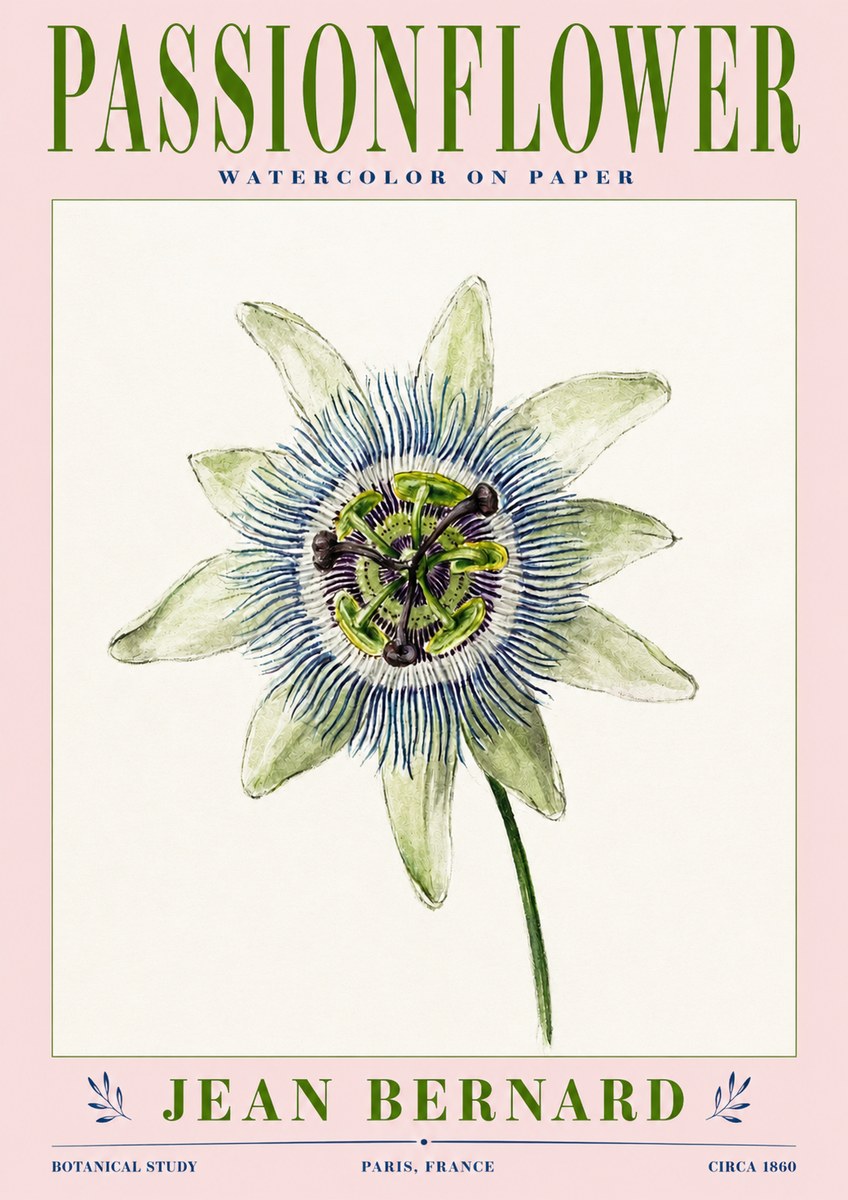 Jean Bernard Passionflower No3 - Juliste