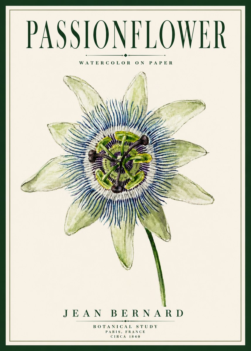 Jean Bernard Passionflower No5 - Juliste